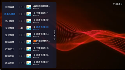 飞蓝电视tv版